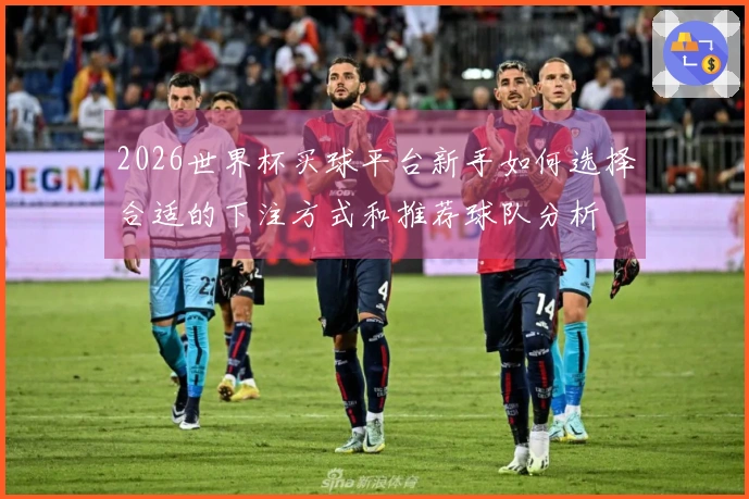 2026世界杯买球平台新手如何选择合适的下注方式和推荐球队分析