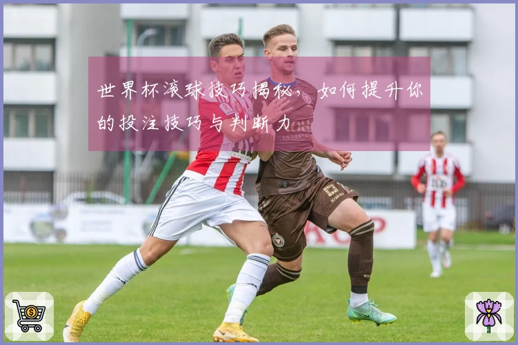世界杯滚球技巧揭秘，如何提升你的投注技巧与判断力